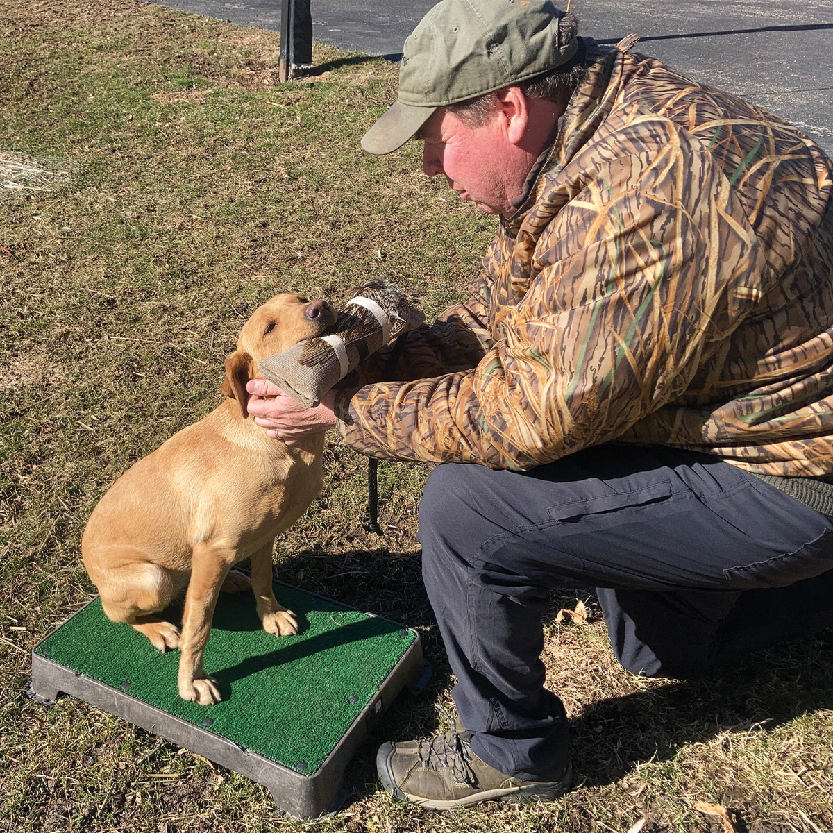 Al Klotsche with retriever on place board with bumper.jpg